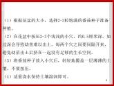 1.1种番茄 课件