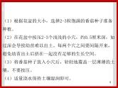 1.1种番茄 课件