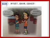 1.2 种子发芽了 课件