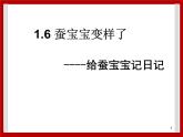 1.6 蚕宝宝变样了 课件