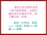 1.6 蚕宝宝变样了 课件