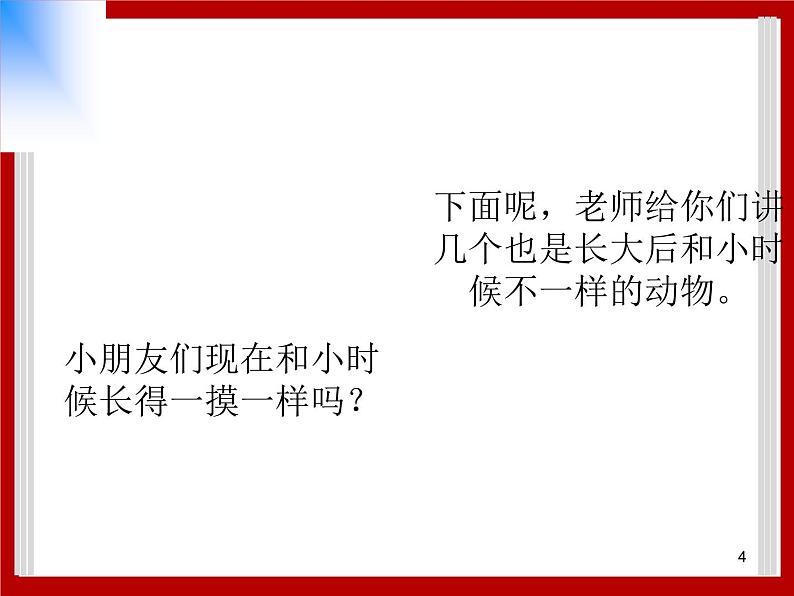 1.7 小动物在长大 课件第4页