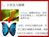 1.7 小动物在长大 课件