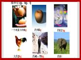 2.10 质量的测量 课件