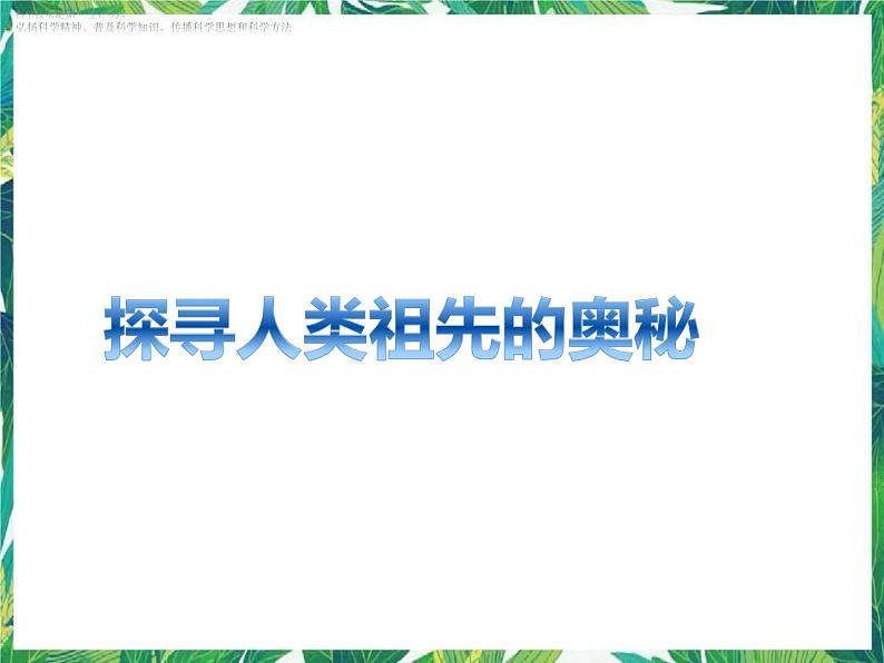 六年级下册科学课件-1.3探寻人类祖先的奥秘  大象版 (共20张PPT)第1页