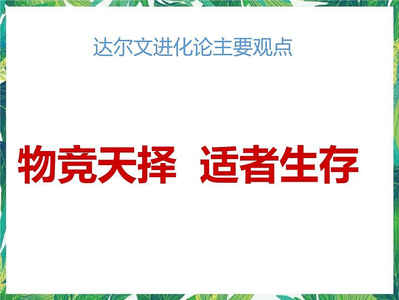 六年级下册科学课件-1.3探寻人类祖先的奥秘  大象版 (共20张PPT)第8页