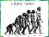 1.4《展现人类祖先的生活画卷》课件+教案+练习