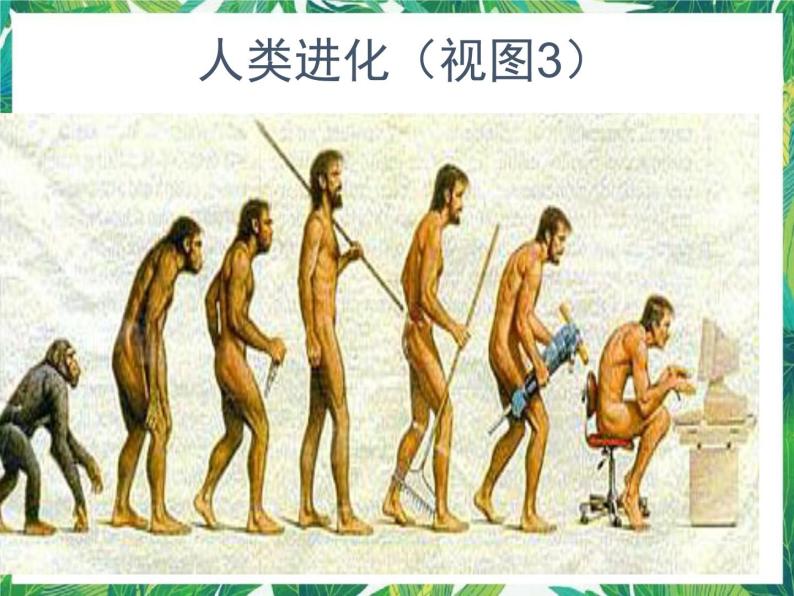 1.4《展现人类祖先的生活画卷》课件+教案+练习05