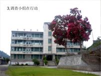 2020-2021学年2.3 调查小组在行动备课课件ppt