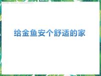 科学六年级下册3.5 给金鱼安个舒适的家示范课课件ppt