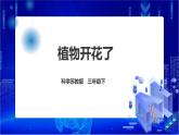 苏教版（2019）科学三年级下1.3《植物开花了》PPT课件+教案+练习+视频