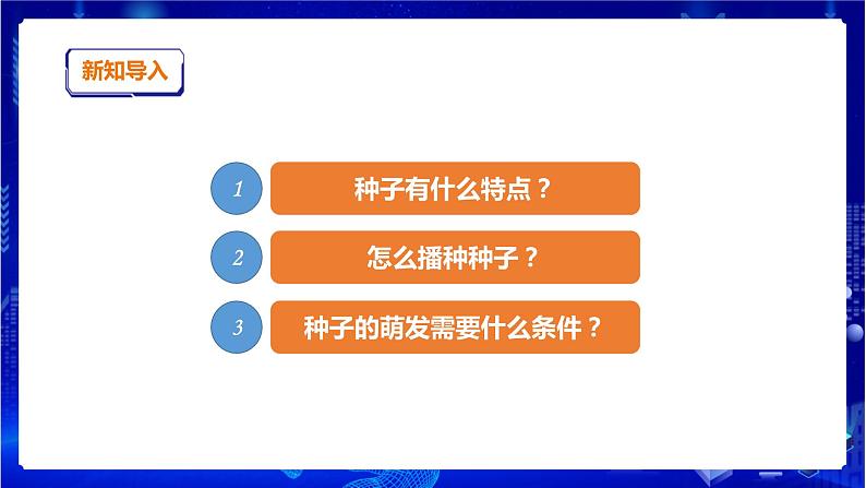 苏教版（2019）科学三年级下1.1《种子发芽了》PPT课件+教案+练习+视频03