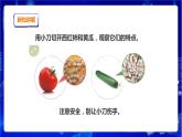 蘇教版（2019）科學(xué)三年級下1.1《種子發(fā)芽了》PPT課件+教案+練習(xí)+視頻