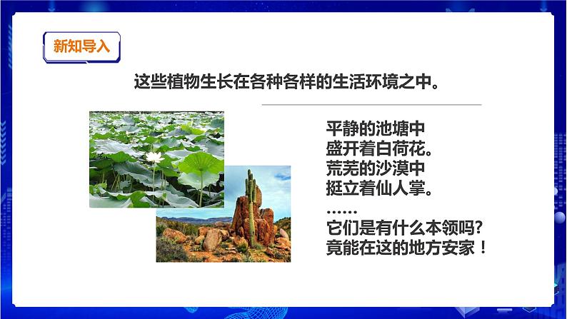 苏教版（2019）科学三年级下2.5《不同环境里的植物》课件第3页