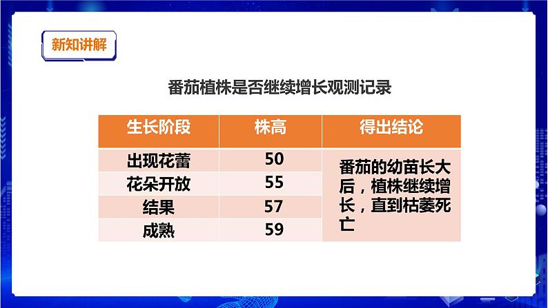 苏教版（2019）科学三年级下1.4《植物结果了》PPT课件+教案+练习07