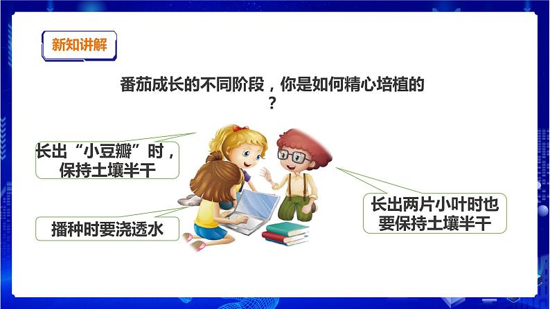 苏教版（2019）科学三年级下1.4《植物结果了》PPT课件+教案+练习08