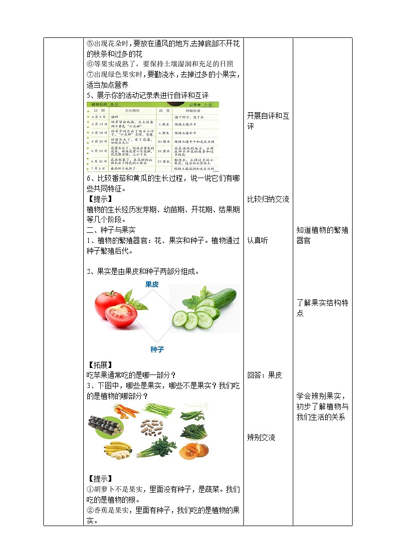 苏教版（2019）科学三年级下1.4《植物结果了》PPT课件+教案+练习02