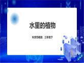 苏教版（2019）科学三年级下2.7《水里的植物》PPT课件+教案+练习+视频