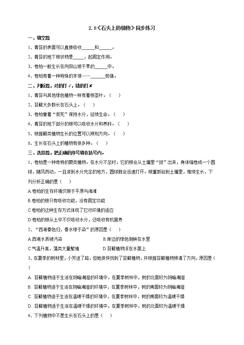 苏教版（2019）科学三年级下2.8《石头上的植物》练习第1页