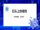 苏教版（2019）科学三年级下2.8《石头上的植物》PPT课件+教案+练习+视频