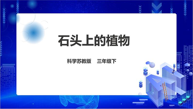 苏教版（2019）科学三年级下2.8《石头上的植物》课件第1页