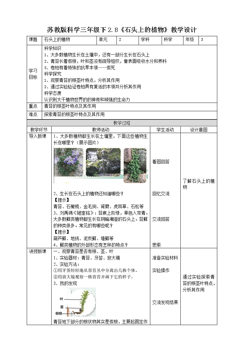 苏教版（2019）科学三年级下2.8《石头上的植物》教案第1页