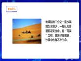 蘇教版（2019）科學(xué)三年級(jí)下2.6《沙漠中的植物》PPT課件+教案+練習(xí)+視頻
