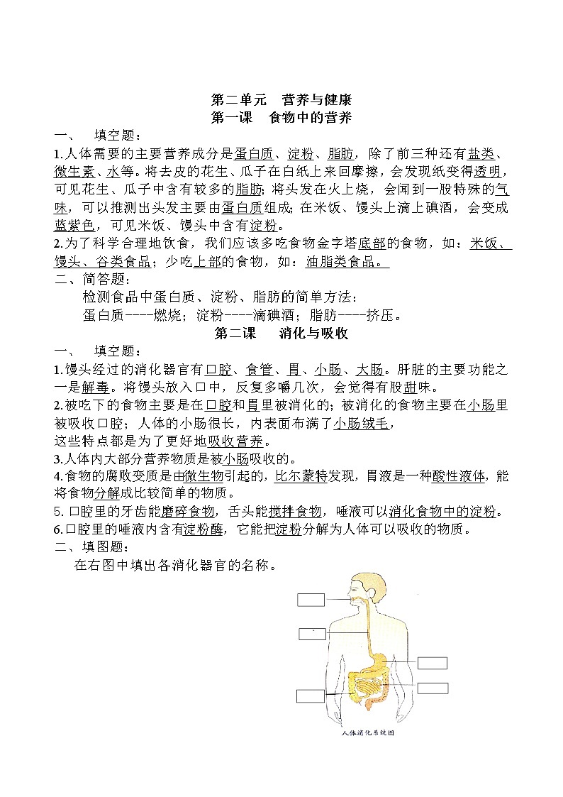 湘教版六年级(上册)科学复习资料全第3页