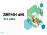 1.3《观察身边微小的物体》课件（32张PPT）