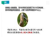 1.3《观察身边微小的物体》课件（32张PPT）