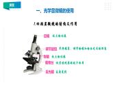 1.3《观察身边微小的物体》课件（32张PPT）