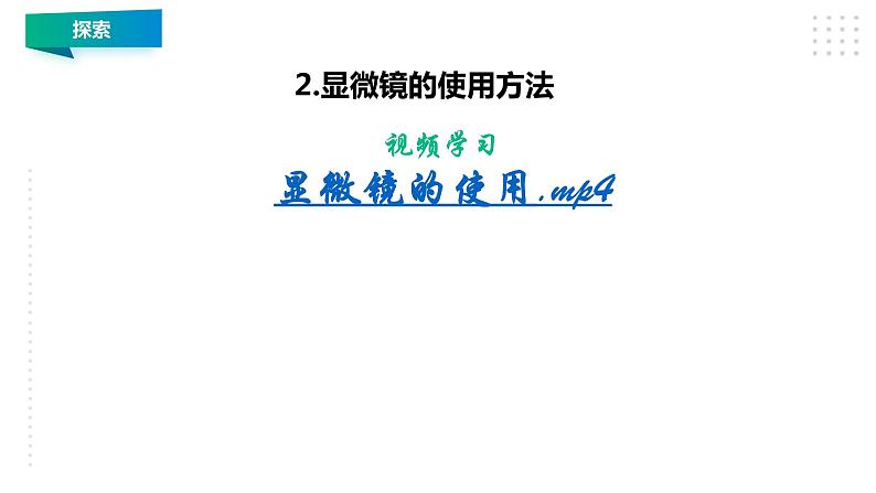 1.3《观察身边微小的物体》课件（32张PPT）05