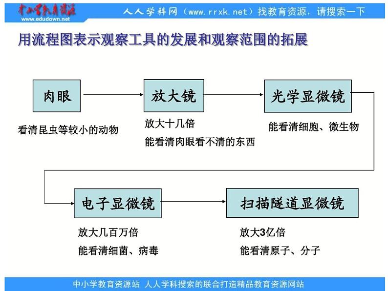 1.7微生物与健康课件PPT02