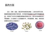 1.7微生物与健康课件PPT