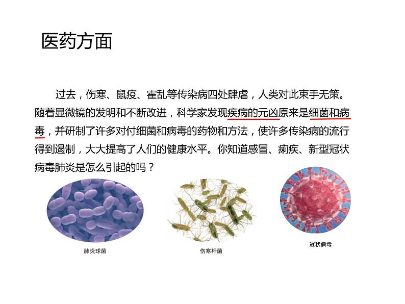 1.7微生物与健康课件PPT04