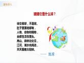 苏教版四下科学2.5《地球》课件+同步练习+素材