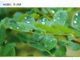 蘇教版四下科學(xué)1.4《水遇冷以后》課件+同步練習(xí)+素材