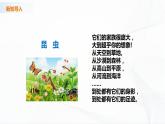 苏教版四下科学3.9《庞大的“家族”》课件+同步练习+素材