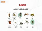 苏教版四下科学3.9《庞大的“家族”》课件+同步练习+素材