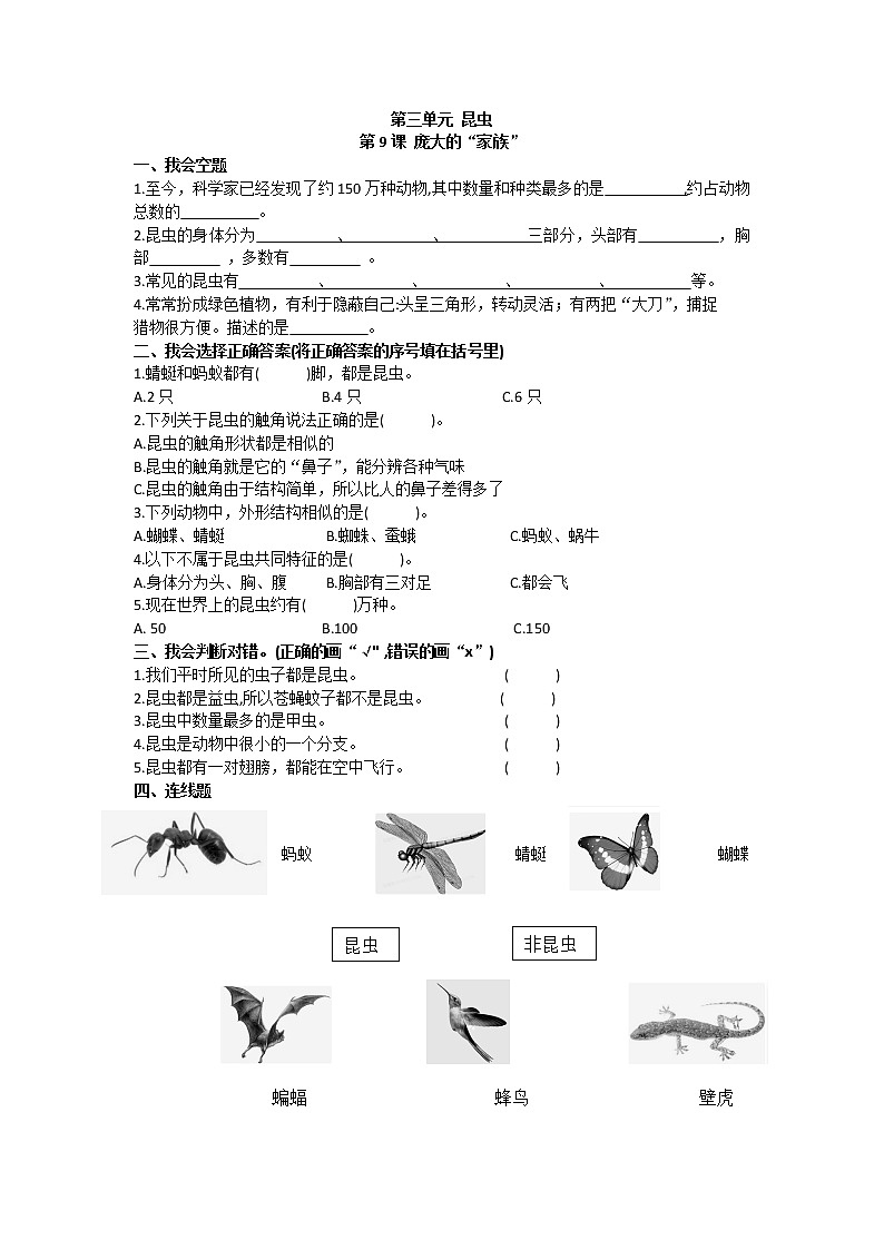 苏教版四下科学3.9《庞大的“家族”》课件+同步练习+素材01