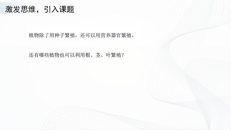 苏教版四下科学4.13《用根、茎、叶繁殖》课件+同步练习+素材03