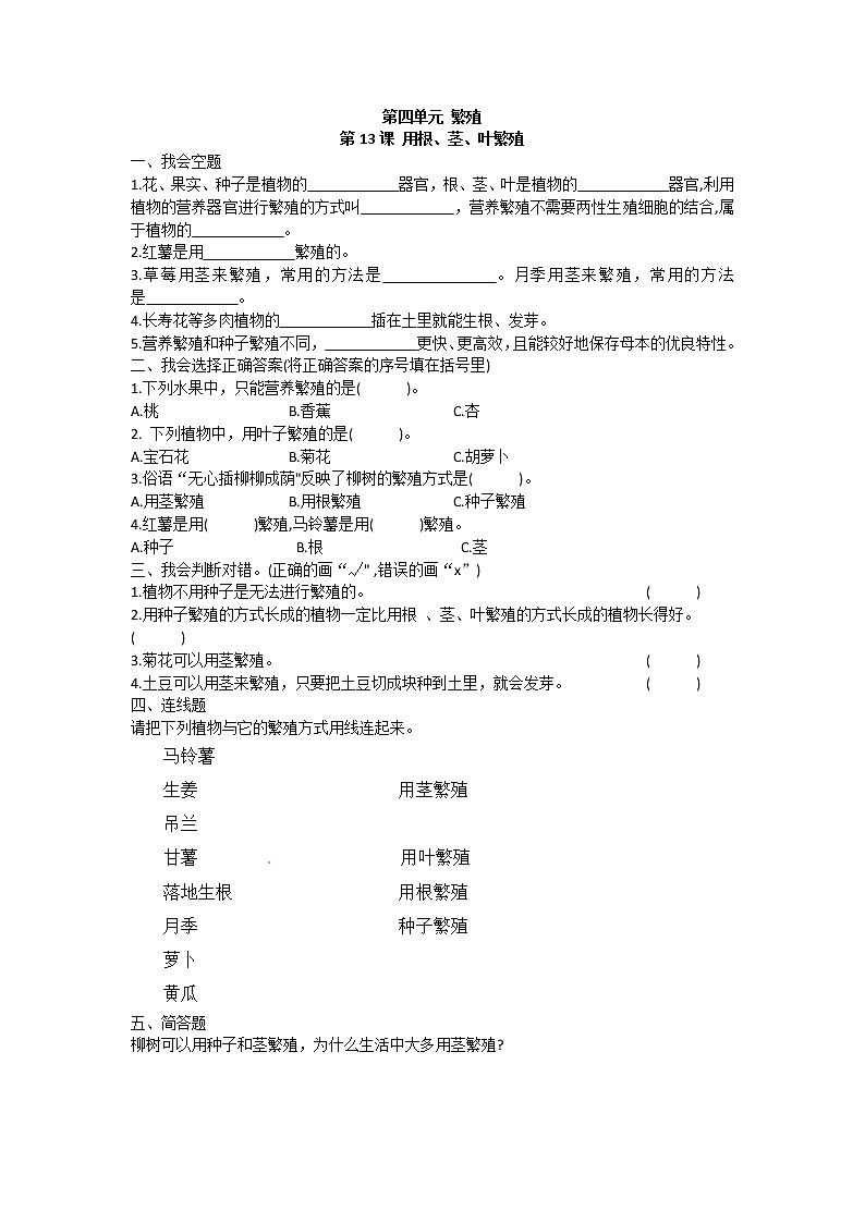 苏教版四下科学4.13《用根、茎、叶繁殖》课件+同步练习+素材01