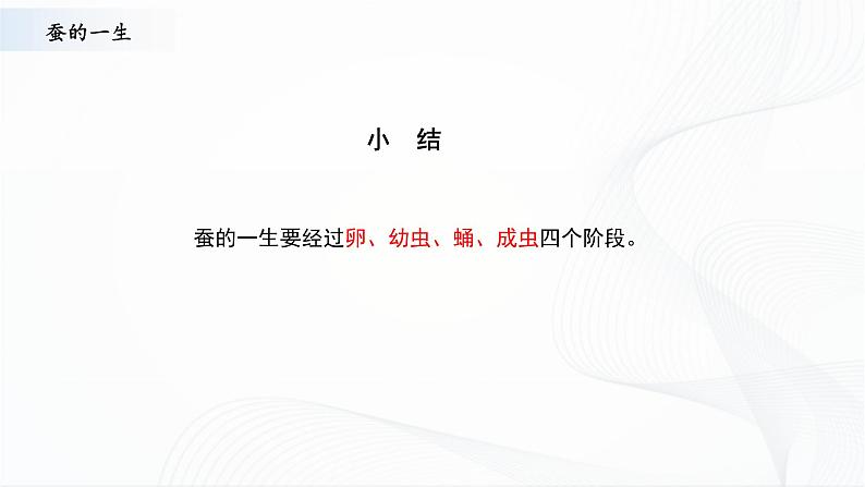 苏教版四下科学3.10《养昆虫》课件+同步练习+素材08