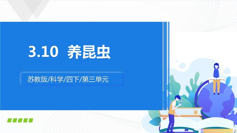 苏教版四下科学3.10《养昆虫》课件+同步练习+素材01