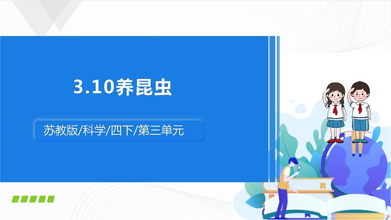 苏教版四下科学3.10《养昆虫》课件+同步练习+素材01