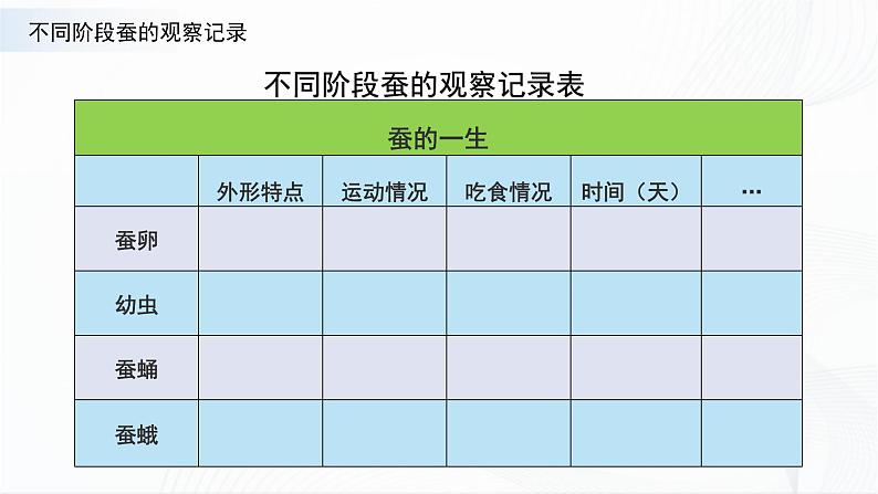 苏教版四下科学3.10《养昆虫》课件+同步练习+素材03