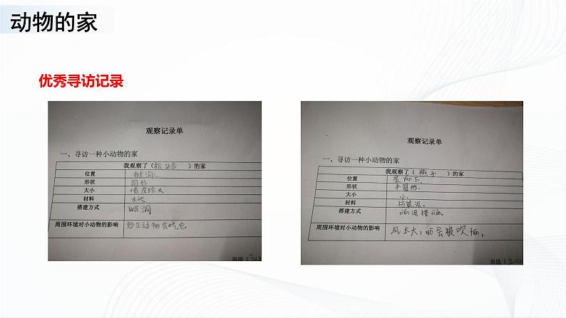 苏教版四下科学5.16《动物的庇护所》课件+同步练习+素材08