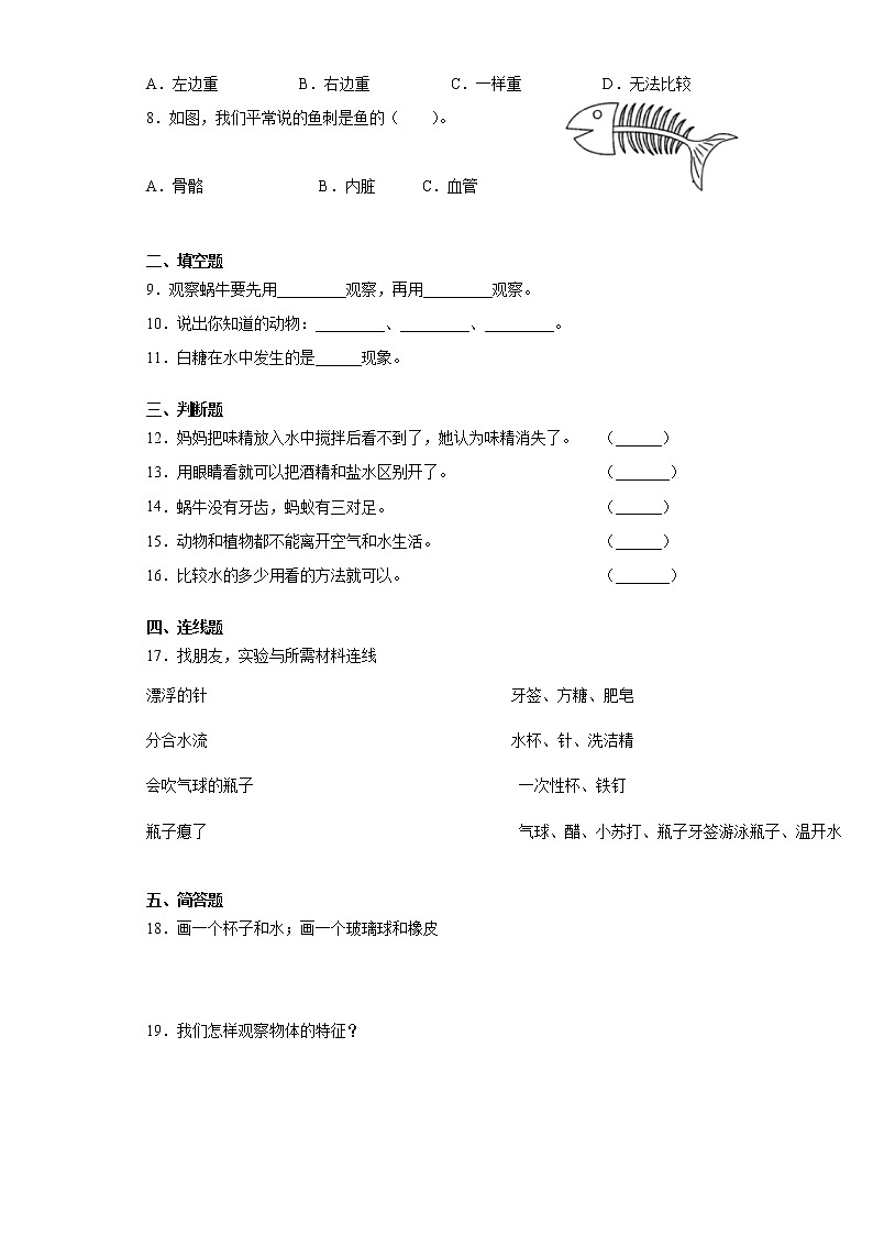 教科版 一年级下册科学期末复习训练题（含答案）第2页