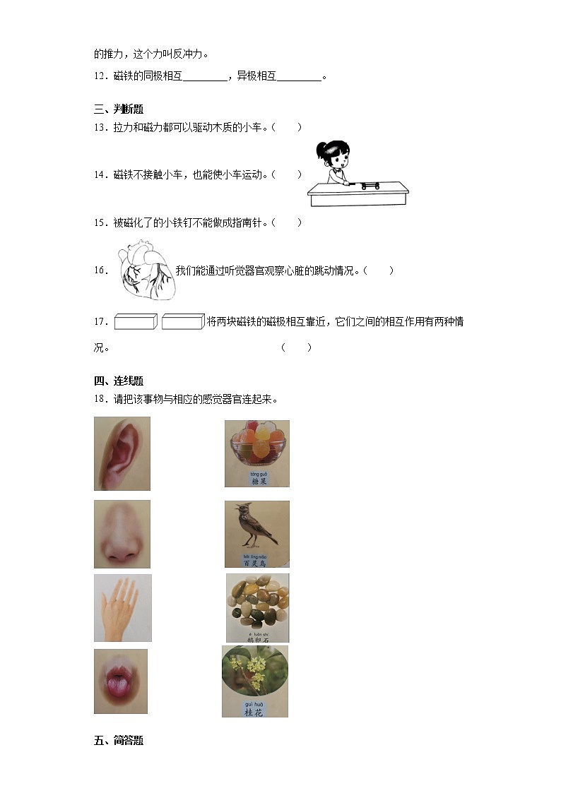 教科版二年级下册科学期中复习训练题（含答案）02