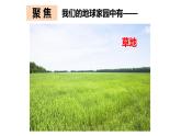 地球家园中有什么PPT课件免费下载